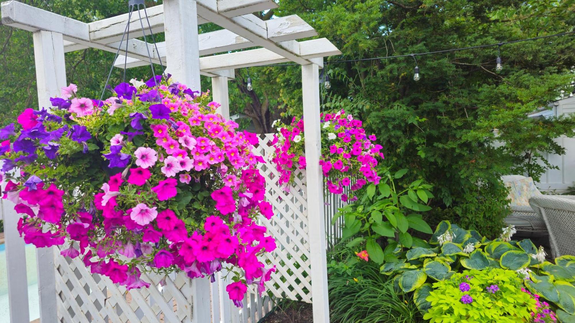 Bed and Breakfast Historic Wilson-Guy House à Niagara-on-the-Lake Extérieur photo